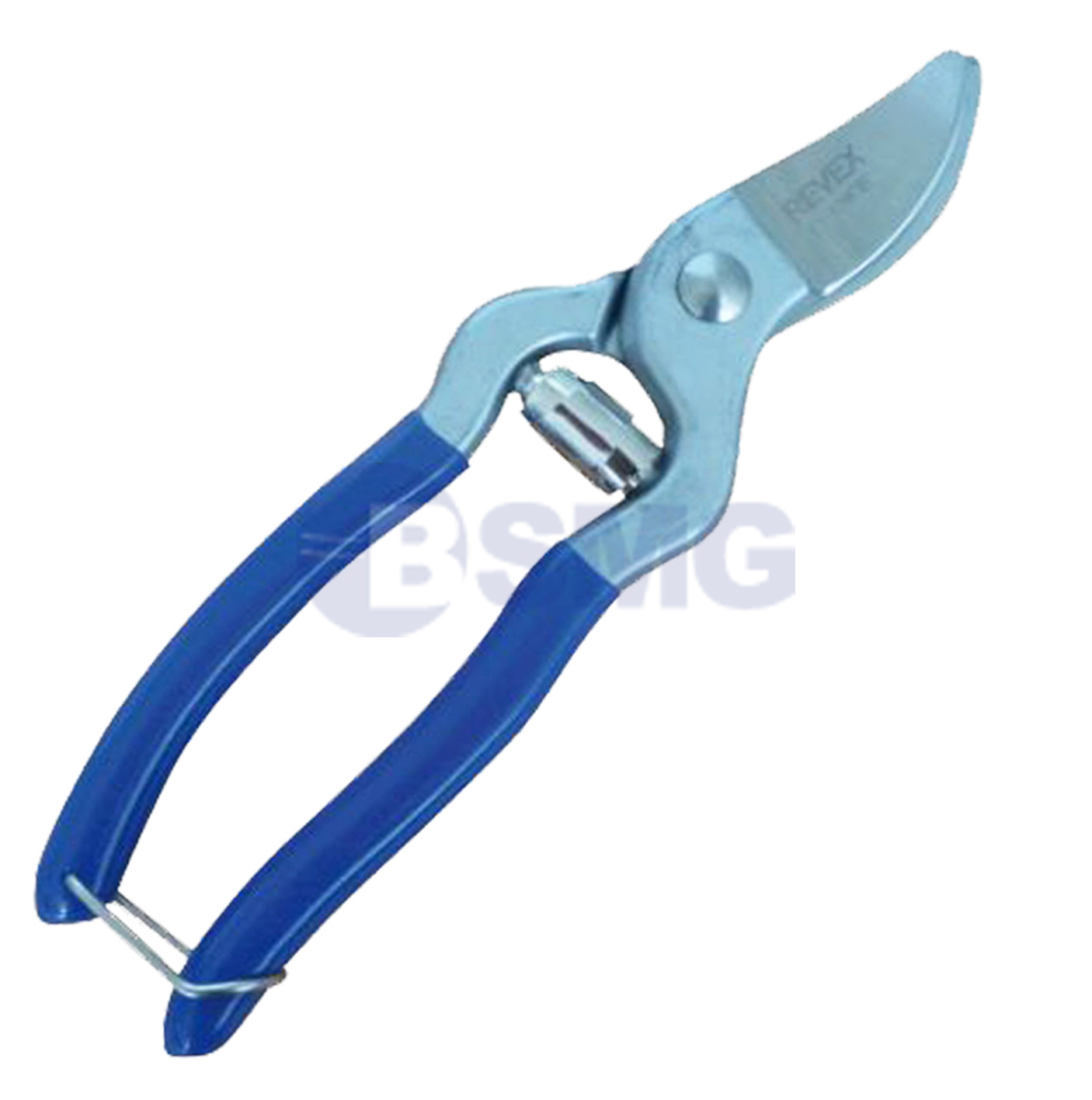 მაკრატელი დიდი   020334