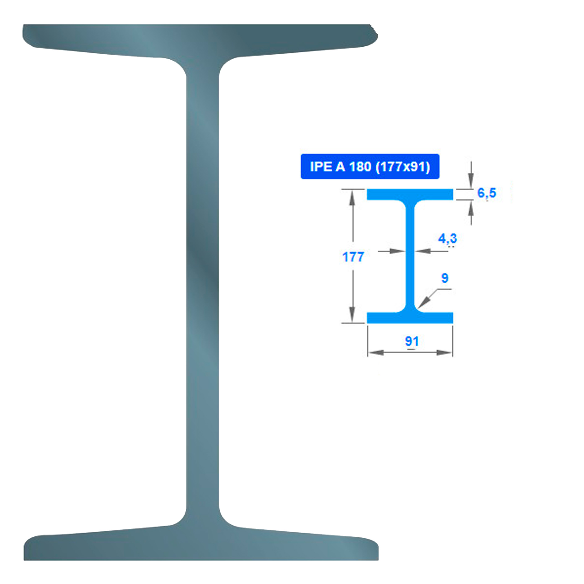 ორტესებრი IPE AA  010168