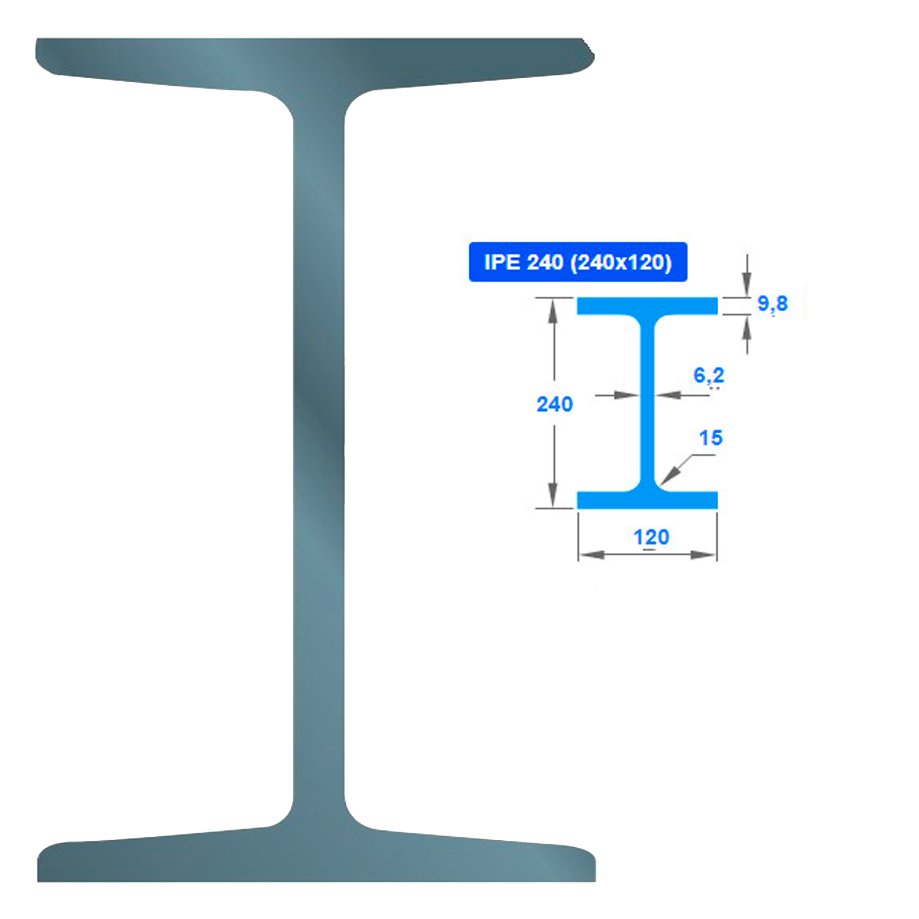 ორტესებრი IPE 240 000135