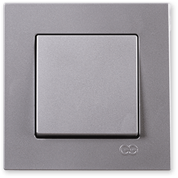 ჩამრთველი  ერთიანი ვერც.  RITA ONEG.ONE WAY SWITCH INOX   008961