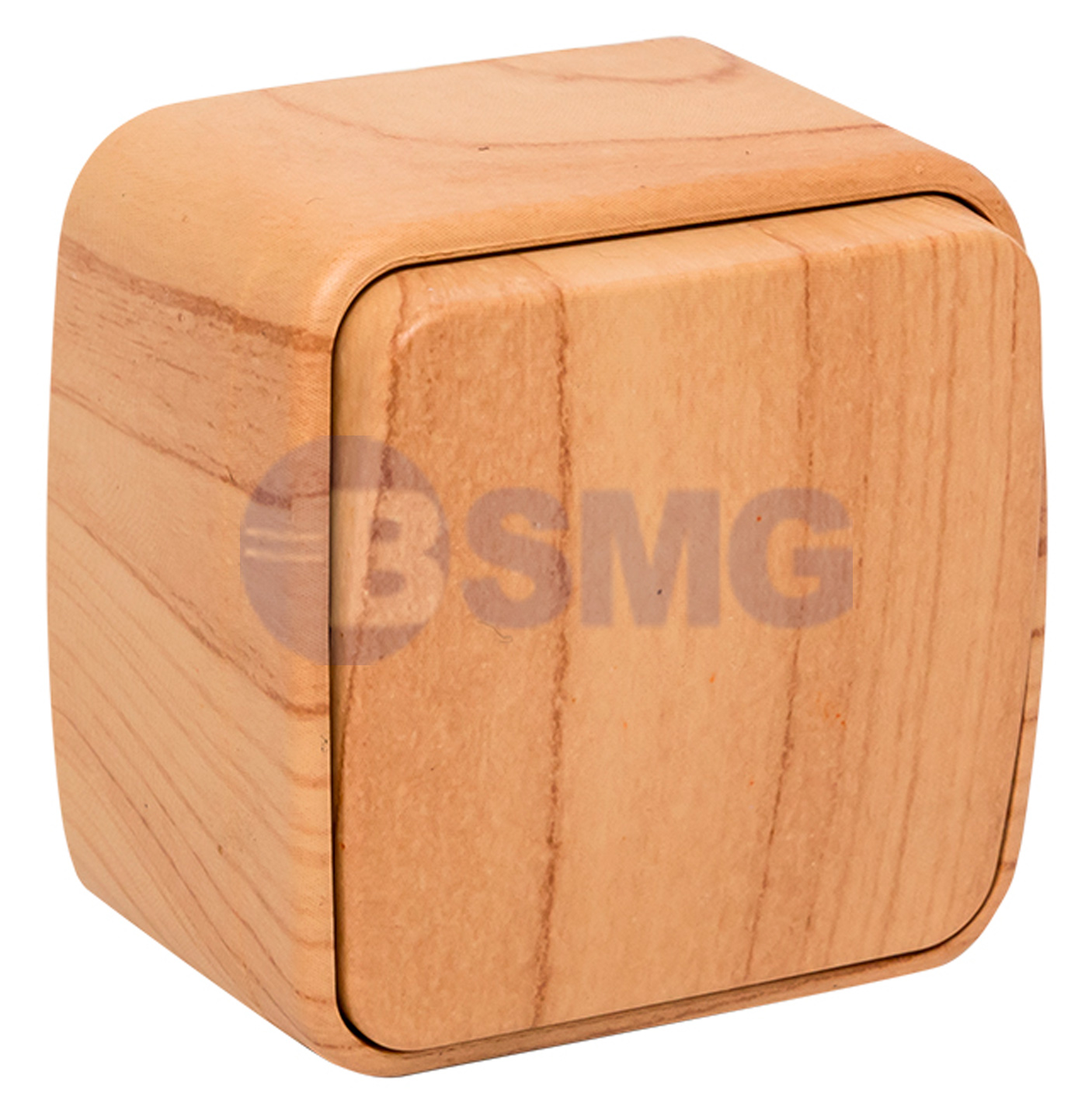 გარე/ღიახისფერი(ჩ)1კლ.10AminskiEKF     027171